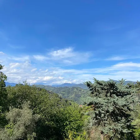 La Casa Degli Ulivi Camporosso (Liguria)