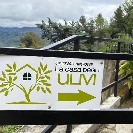 La Casa Degli Ulivi * Camporosso (Liguria)