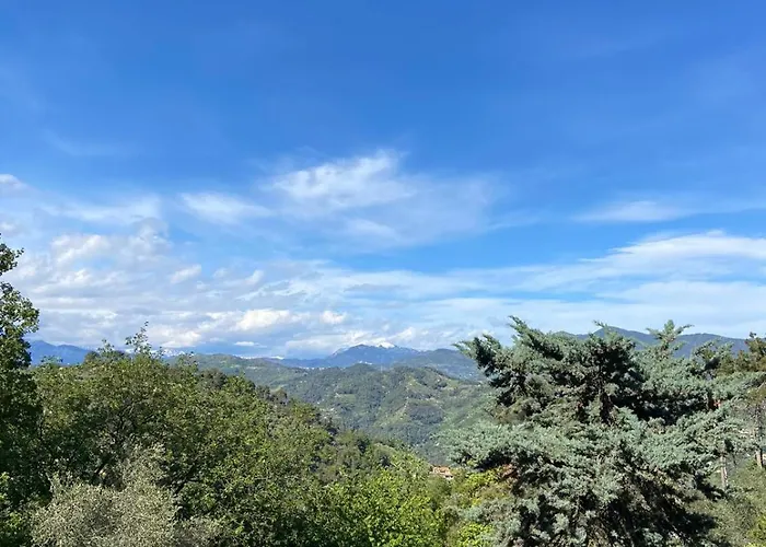 La Casa Degli Ulivi Camporosso (Liguria)